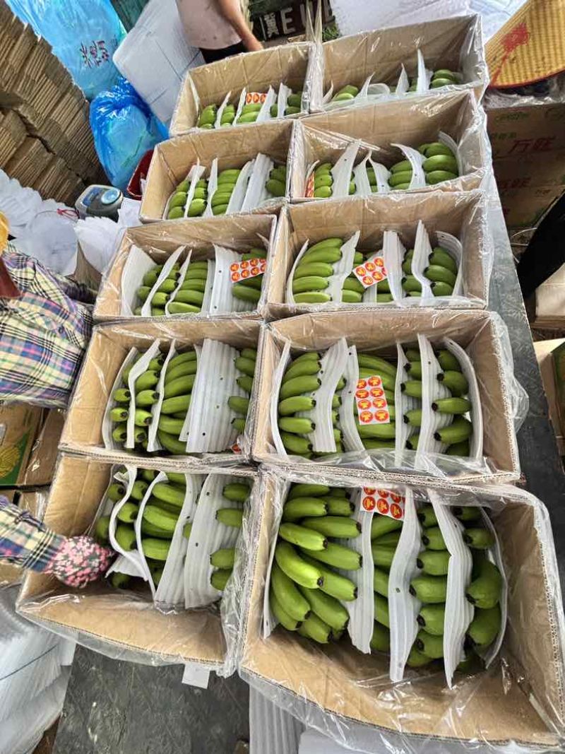 香蕉🍌海南香蕉