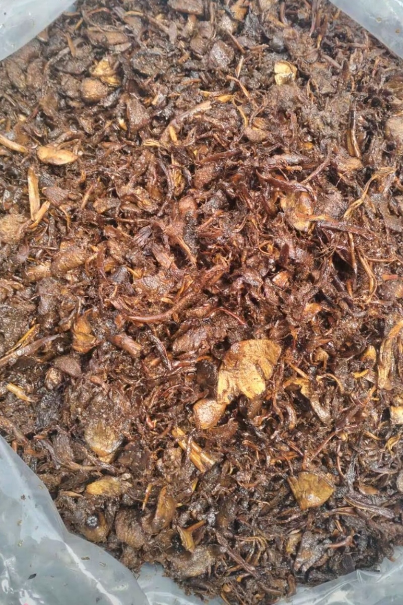 缅甸鸡枞油，已炸好除油