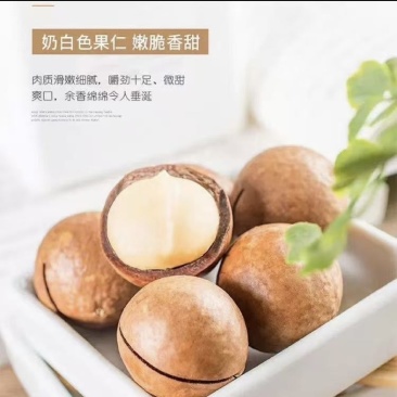 夏威夷果电商一件代发价格实惠有量有价