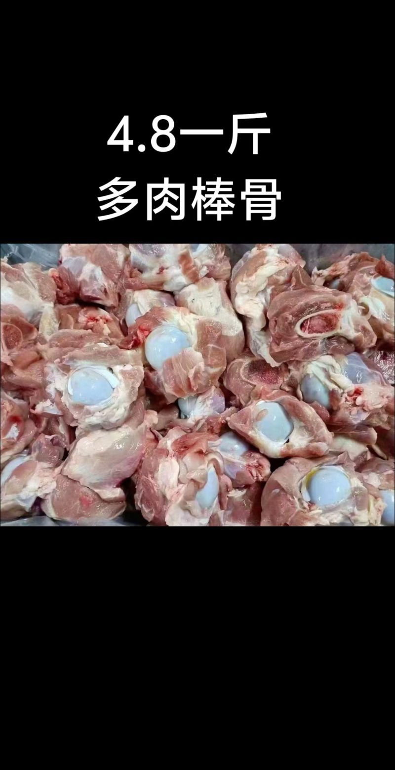 多肉猪棒骨大量现货量大从优