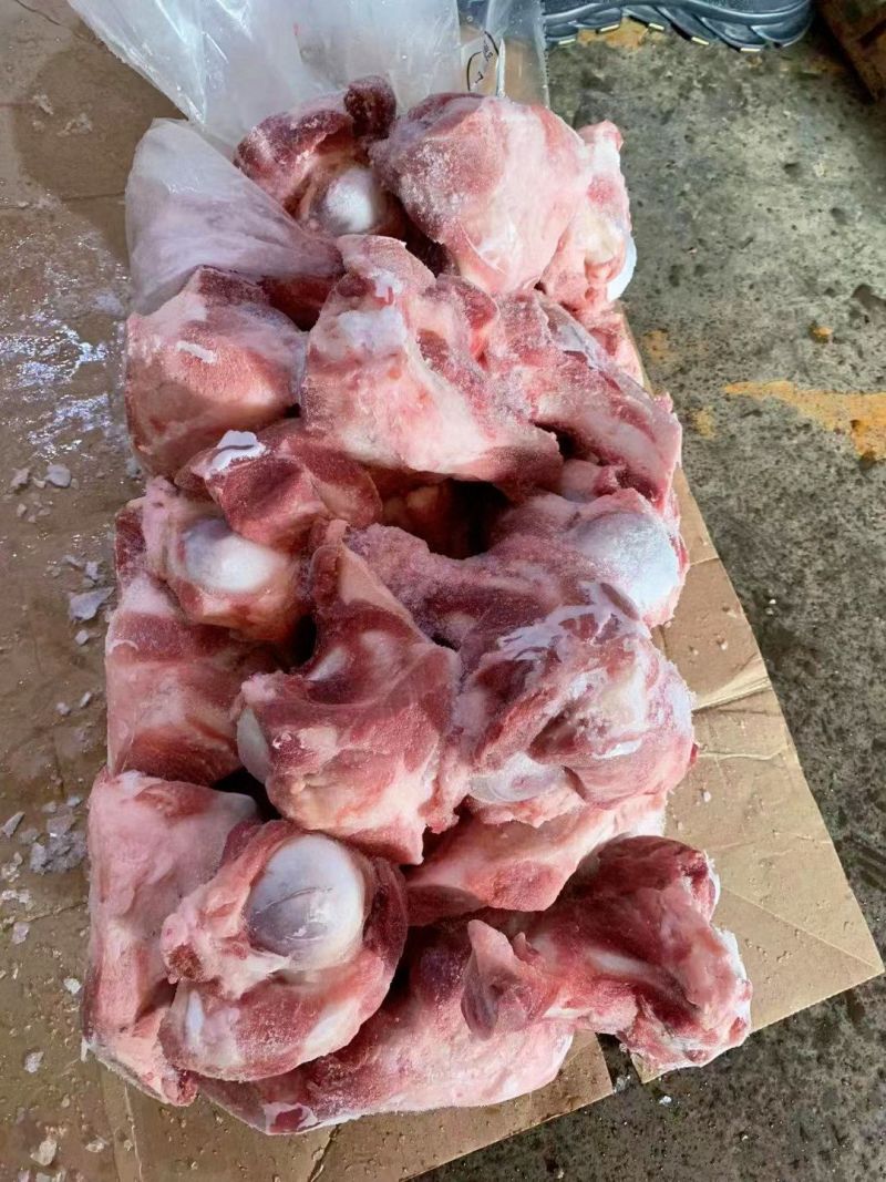 多肉猪棒骨大量现货量大从优