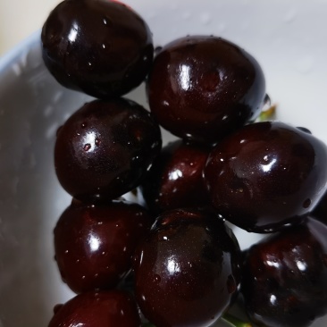 多彩汉源，舌尖樱桃。我们汉源的车厘子黑珍珠已上市。
