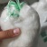 防鸟网厂家直销