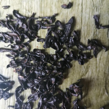 东北小黑条蚂蟥，活体都有