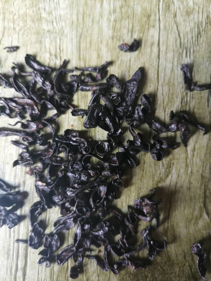 东北小黑条蚂蟥，活体都有