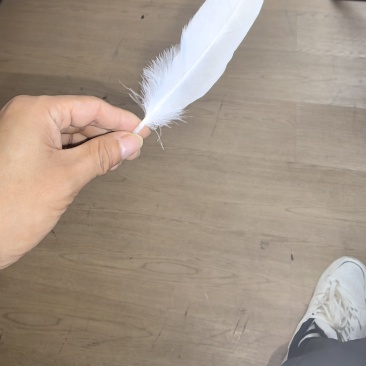 南阳嗨迪农业科技发展有限公司