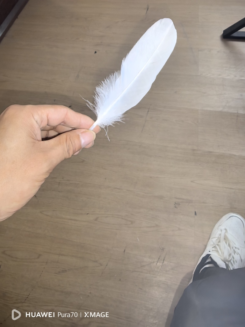 南阳嗨迪农业科技发展有限公司