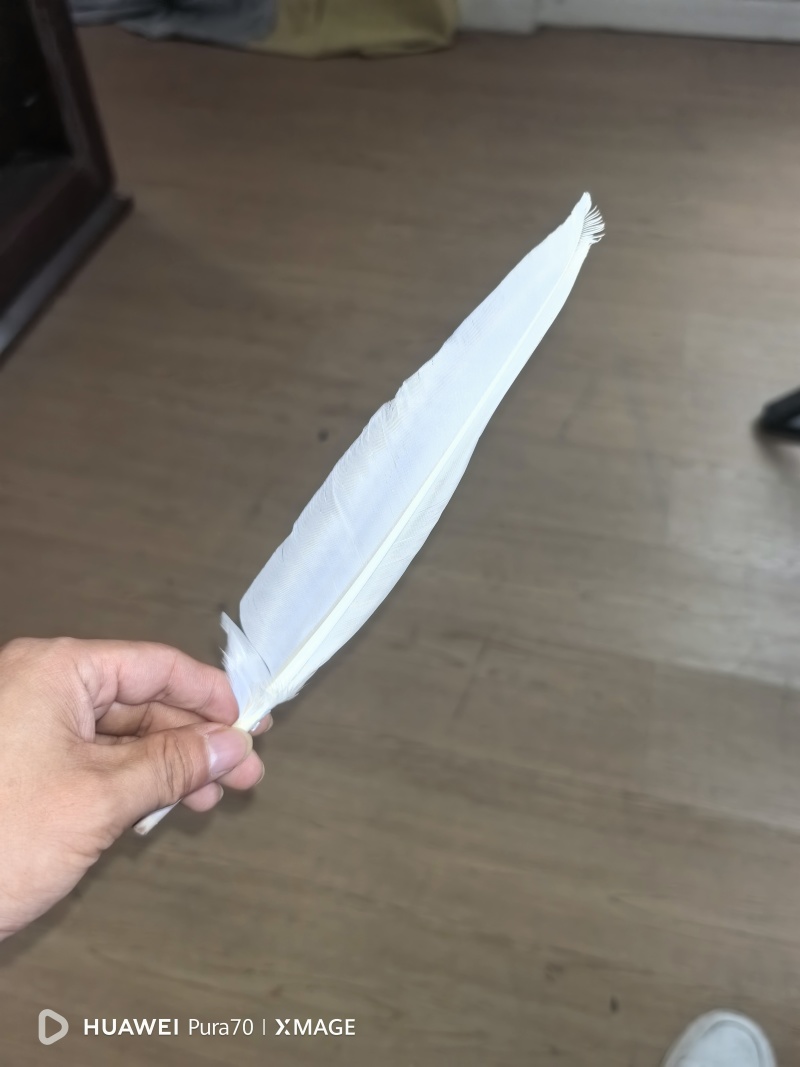 南阳嗨迪农业科技发展有限公司