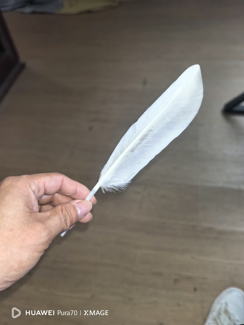南阳嗨迪农业科技发展有限公司