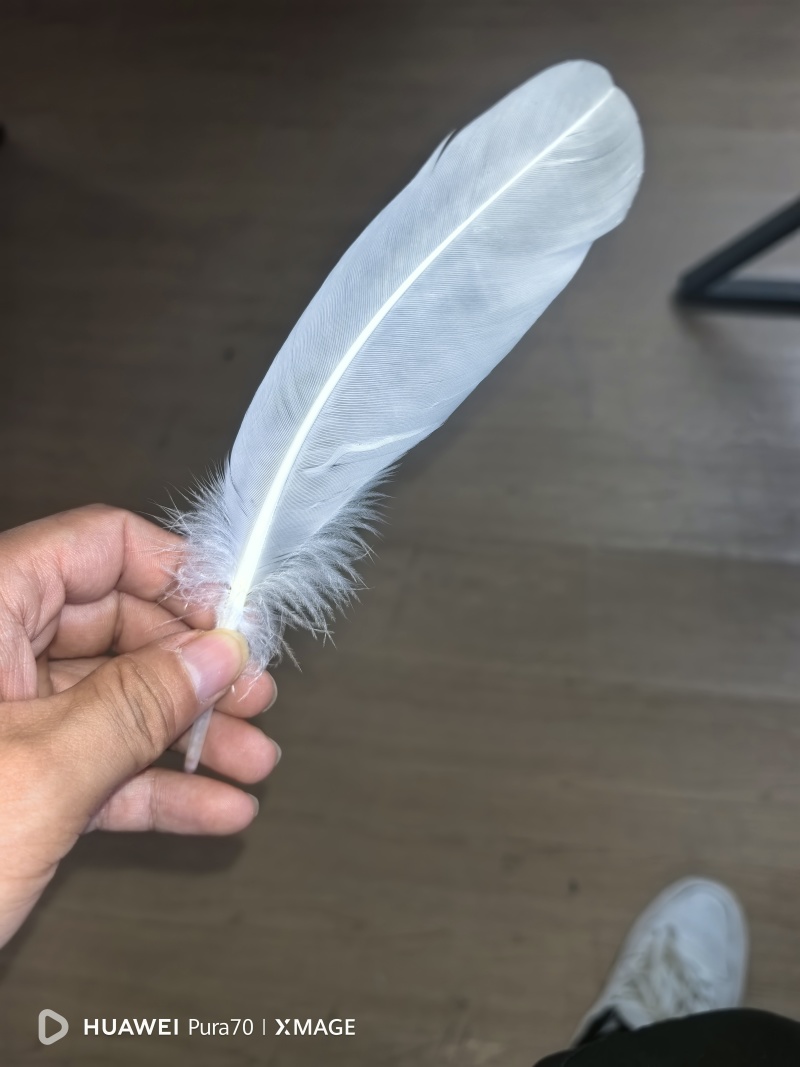 南阳嗨迪农业科技发展有限公司