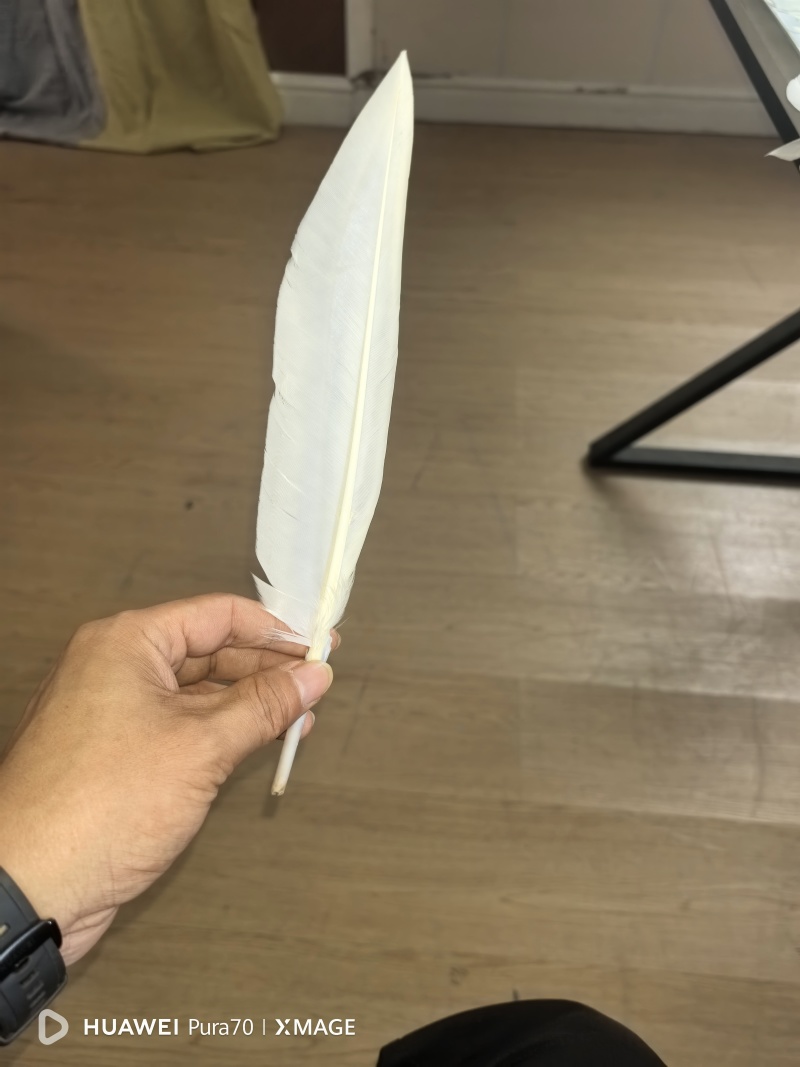 南阳嗨迪农业科技发展有限公司