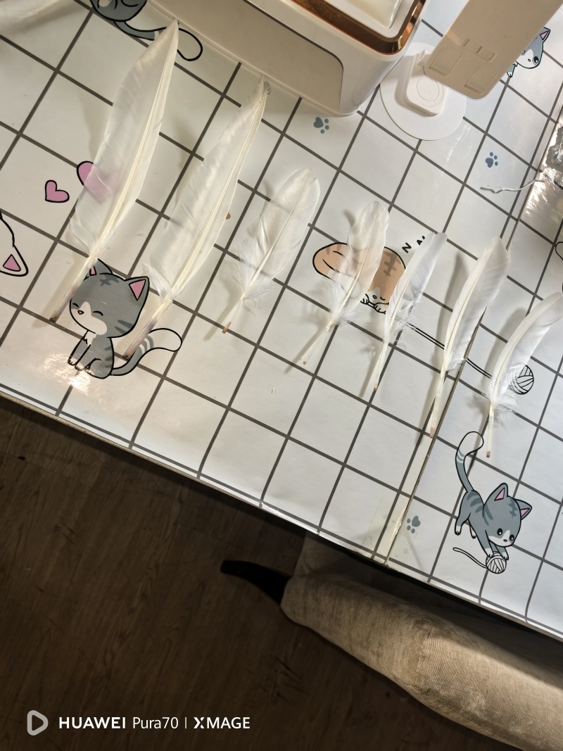 南阳嗨迪农业科技发展有限公司