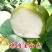 翠冠梨，黄花梨，支持一件代发