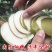 翠冠梨，黄花梨，支持一件代发