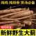 贵州野生大蓟鲜货