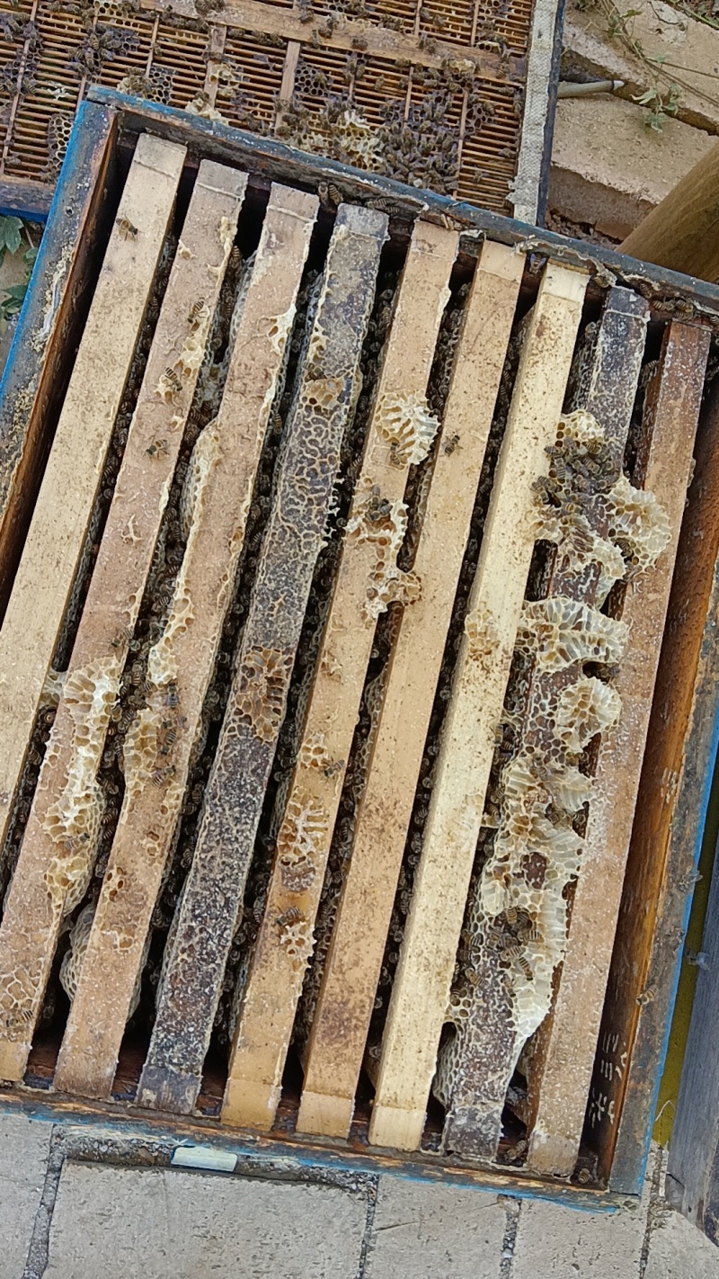 今年新巢蜂蜜浓度高***无白糖
