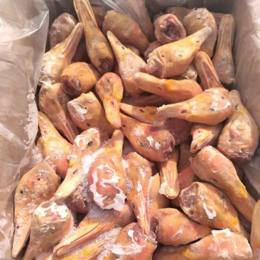 厂家番鸭头两吨