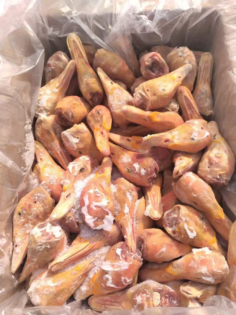 厂家番鸭头两吨