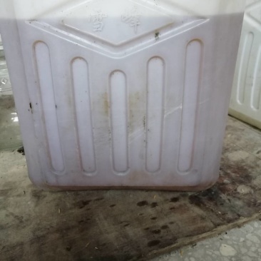 山茶油