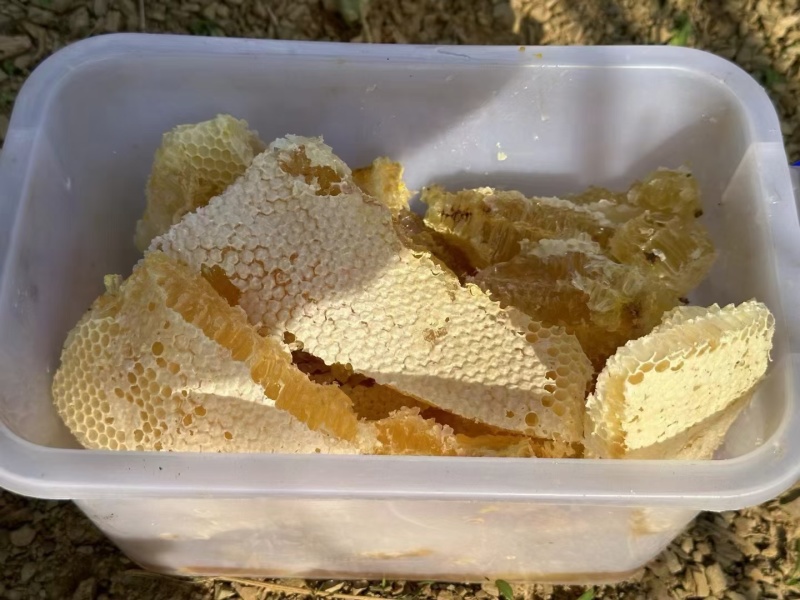 云南深山百花蜜
