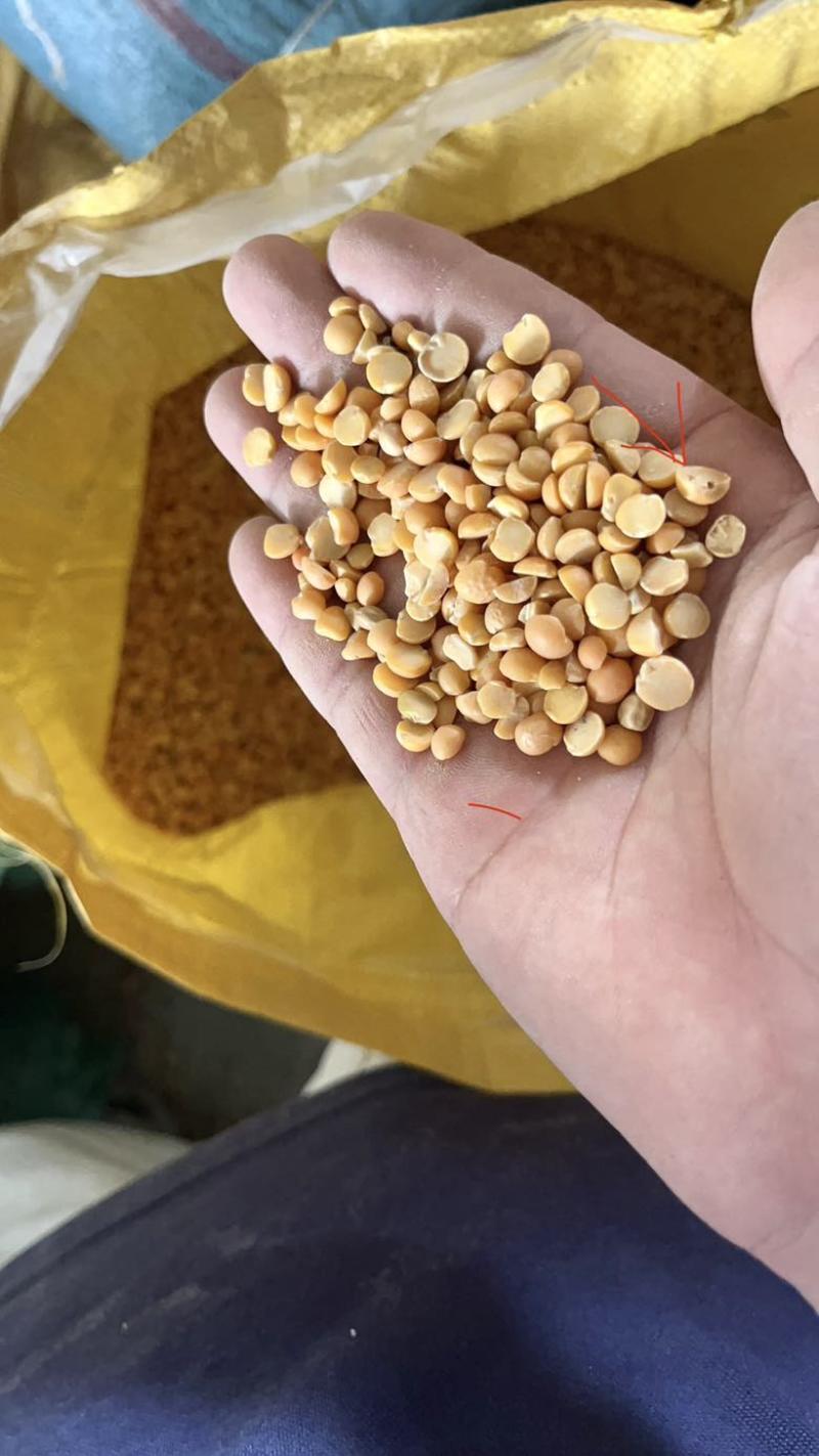 豌豆豆瓣