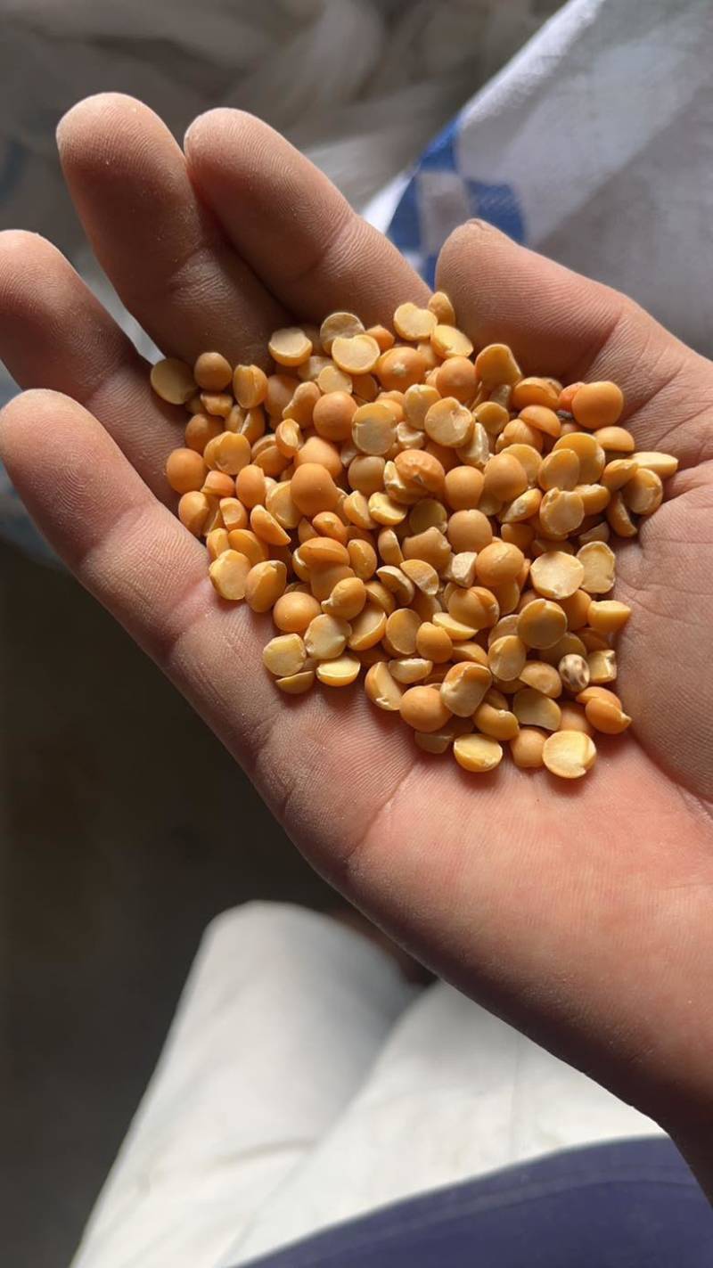 豌豆豆瓣