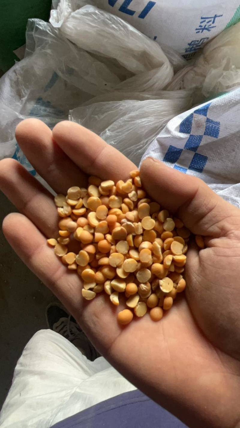 豌豆豆瓣