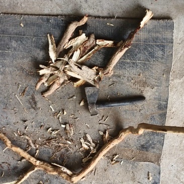 甘肃现挖野生地骨皮