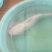 观赏鱼