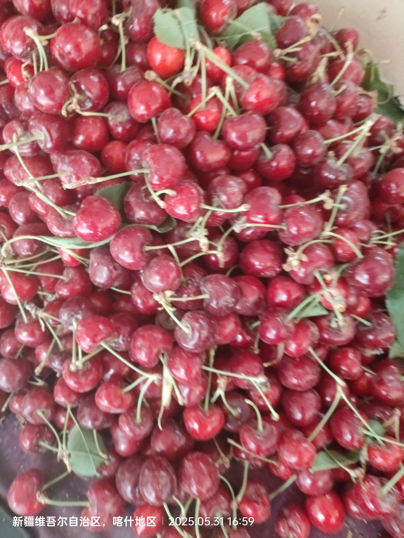 莎车樱桃🍒