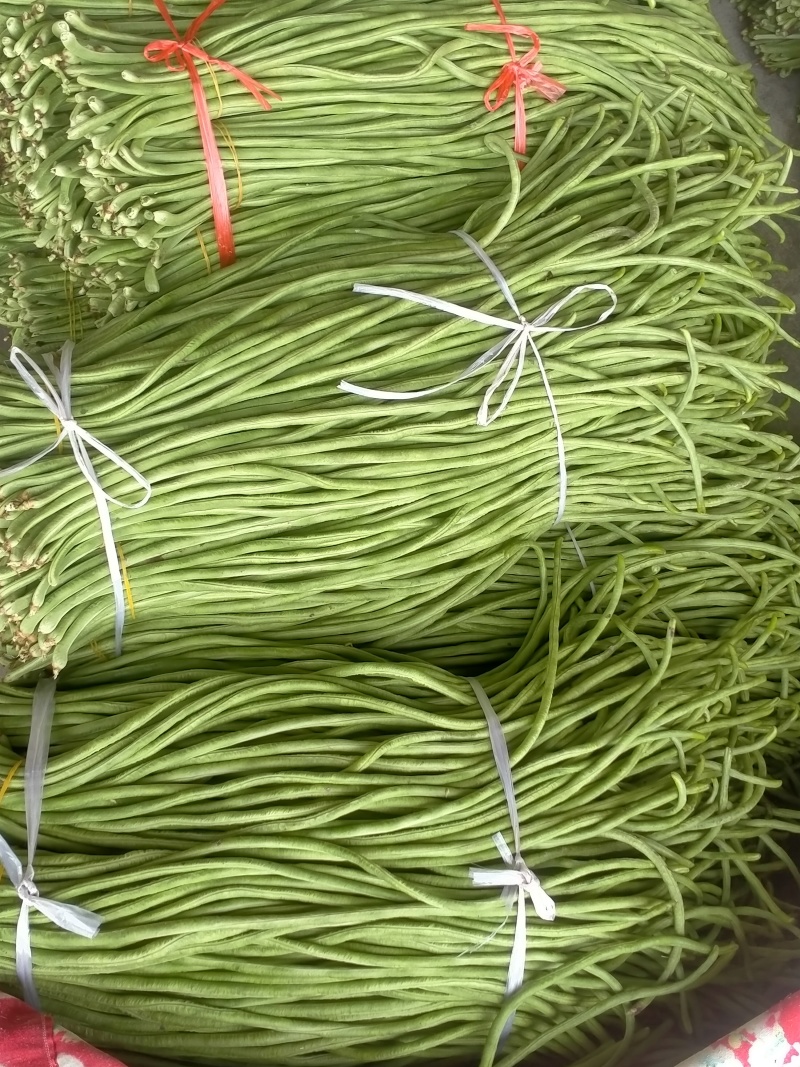 大量缸豆上市