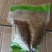 真空包装嘉兴味粽子
