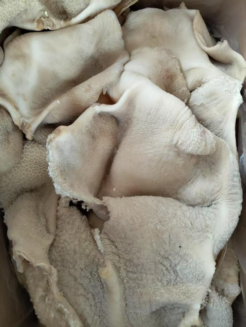 小牛肚