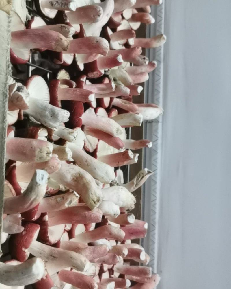 红蘑菇干