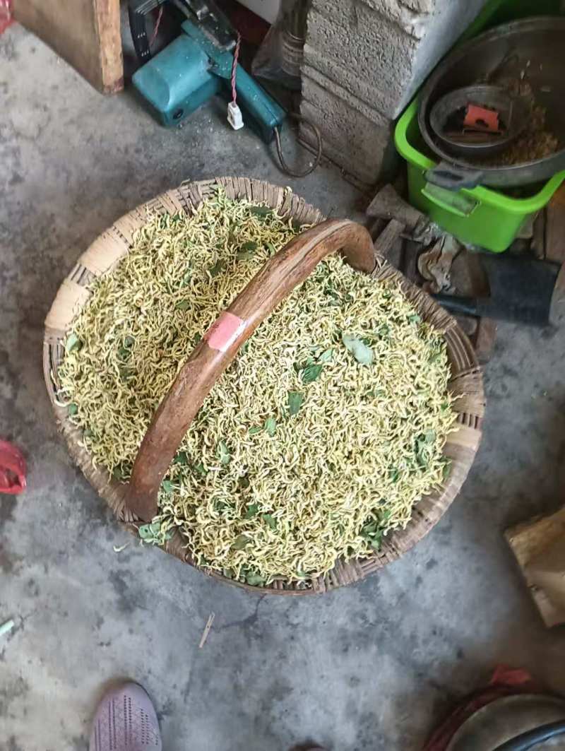 干金银花