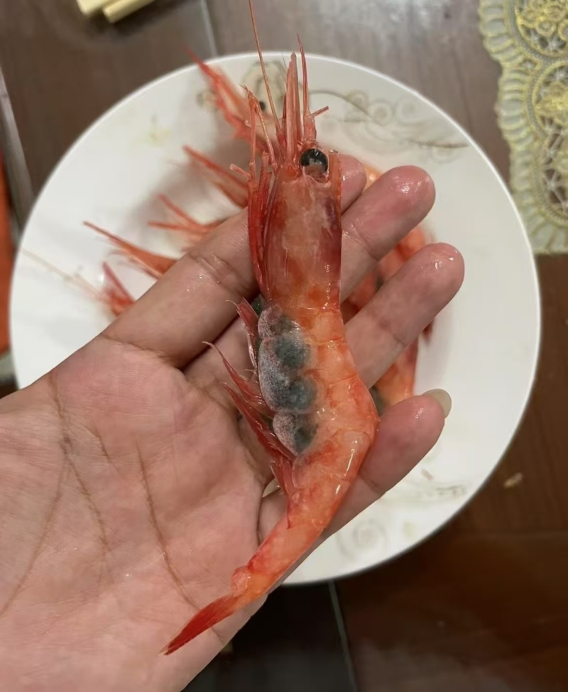 刺身超低温甜虾