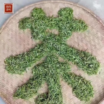 信阳毛尖茶
