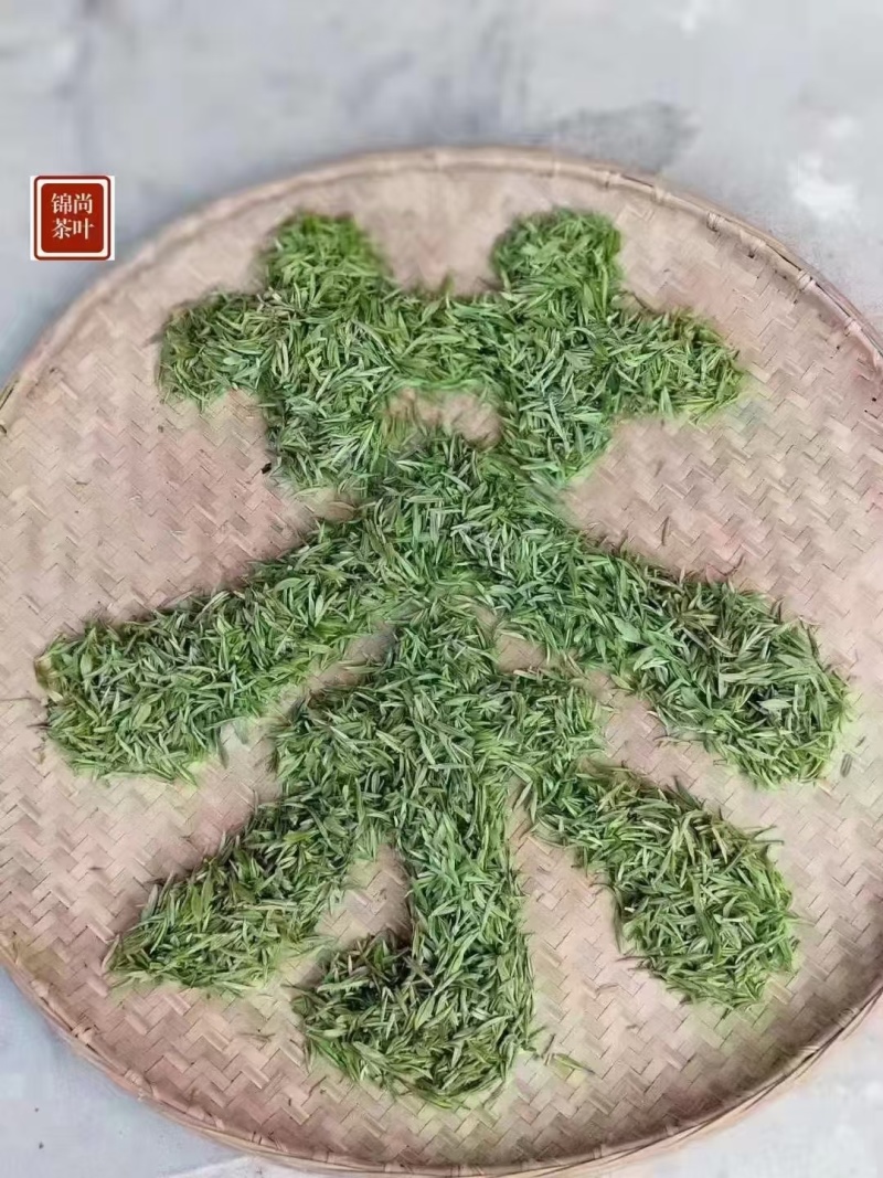 信阳毛尖茶