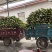万糯188大量上市