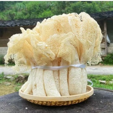 竹荪