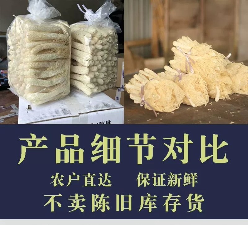 竹荪