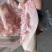 带皮五花肉