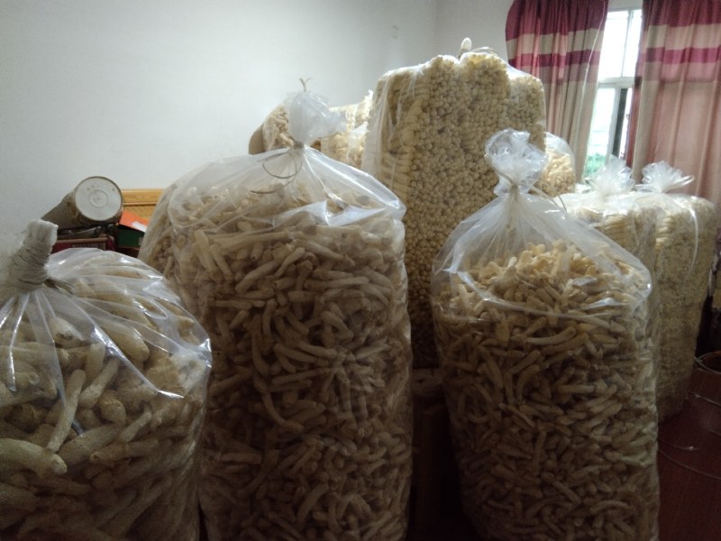 2025年竹荪自家种植，一手货源充足，没有中间商