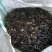 干蕨菜