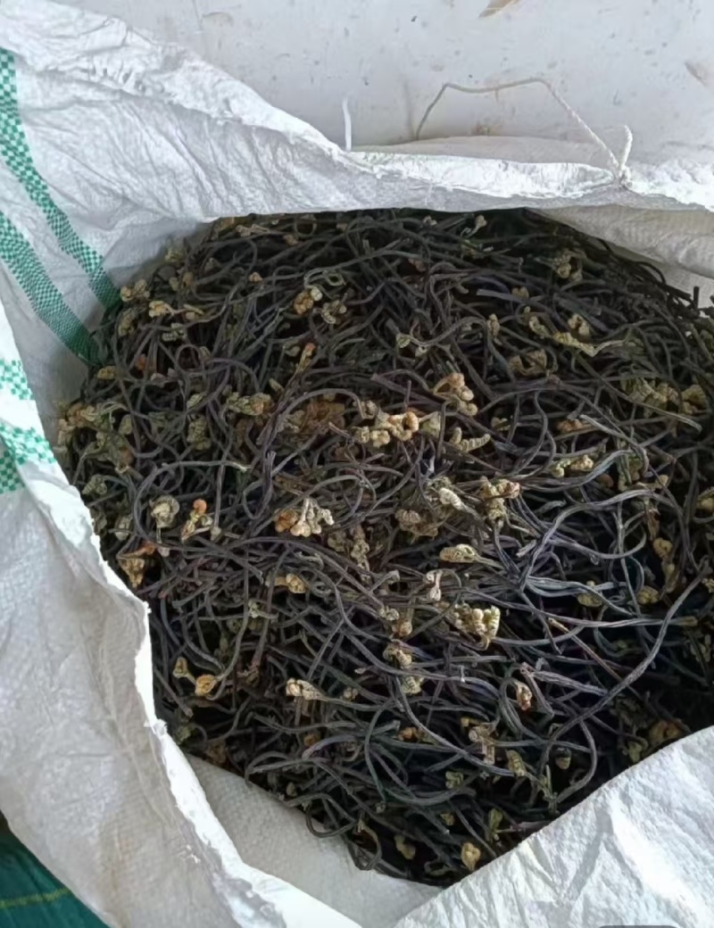 干蕨菜