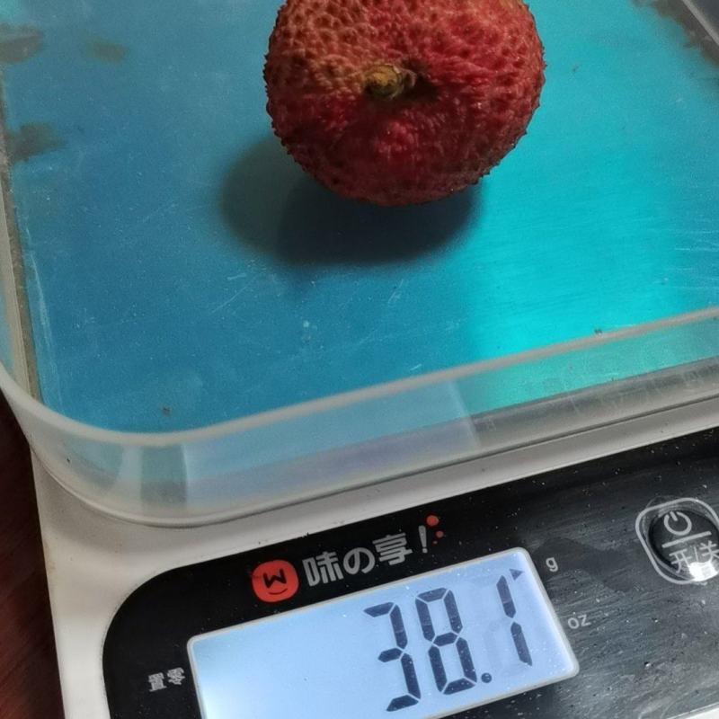 广西妃子笑果粒20-22个一斤