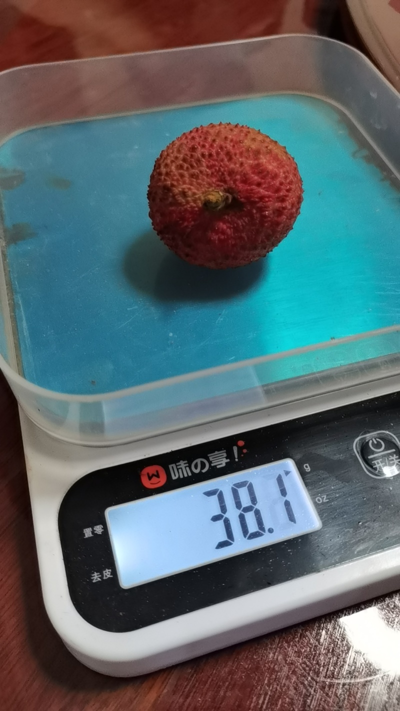 广西妃子笑果粒20-22个一斤