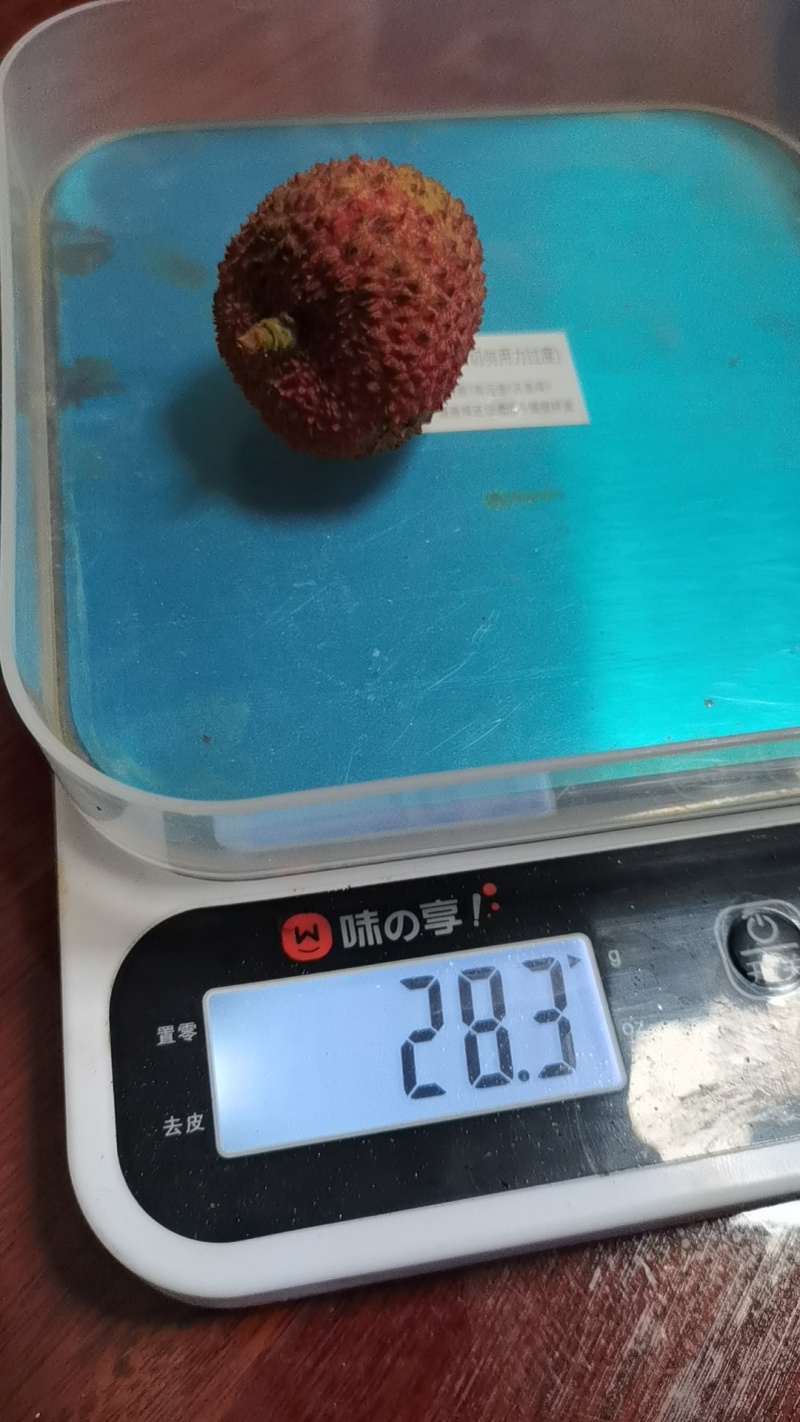 广西妃子笑果粒20-22个一斤
