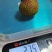 广西妃子笑果粒20-22个一斤