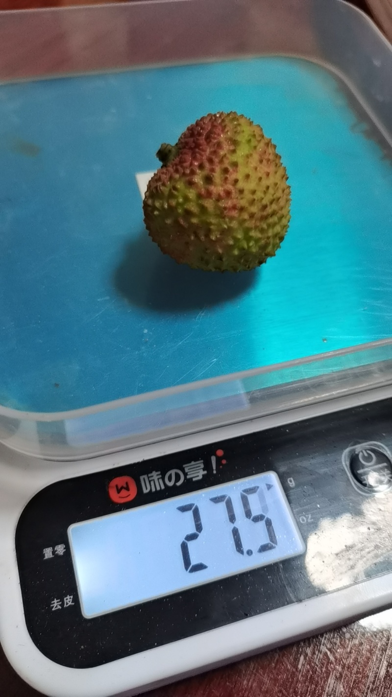 广西妃子笑果粒20-22个一斤